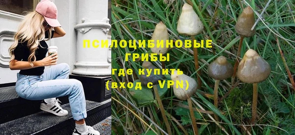 дмт Покачи