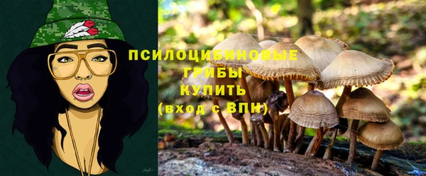 меф Абдулино