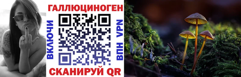 Псилоцибиновые грибы прущие грибы  Зерноград 