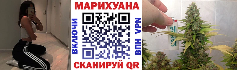 дарк нет телеграм  Зерноград  Бошки марихуана план 
